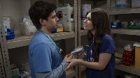 Scrubs (2026)